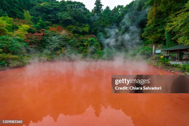 the hells of beppu: chinoike jigoku - beppu bildbanksfoton och bilder