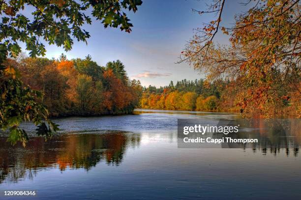 androscoggin river in bethel, maine usa during peak autumn leaf season - bethel maine stockfoto's en -beelden