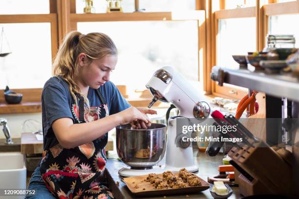 a teenage girl using mixer in the kitchen. - food processor stock pictures, royalty-free photos & images