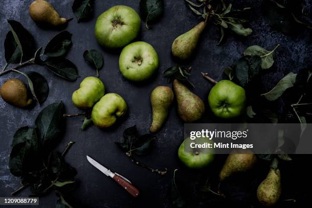 high angle close up of green pears and bramley apples on black background. - apples and pears stock-fotos und bilder