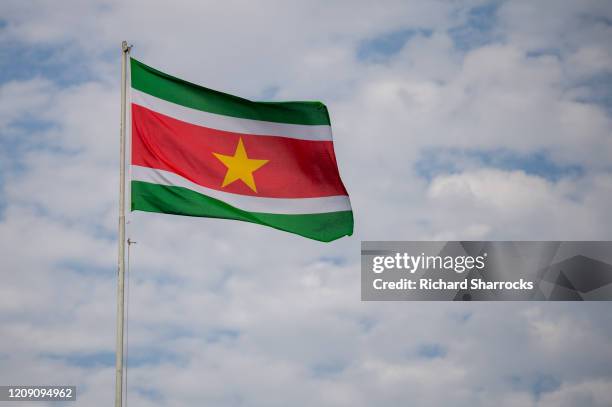 suriname national flag - スリナム ストックフォトと画像