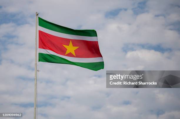 suriname national flag - gazon stock pictures, royalty-free photos & images