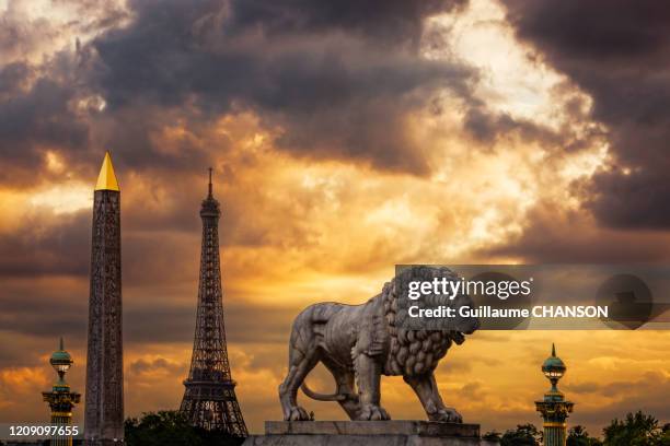 sunset at la concorde place in paris, france - obelisk stock pictures, royalty-free photos & images