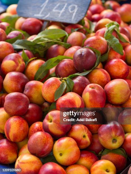 fresh nectarines at the market - nectarine photos et images de collection