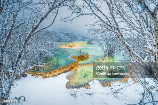 prachtig natuurlandschap van huang long en jiuzhaigou park national park met verbazingwekkende sneeuw in sichuan , china - natuurwonder stockfoto's en -beelden