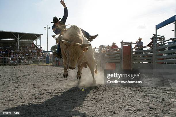 rodeio-montar touros - bull riding imagens e fotografias de stock