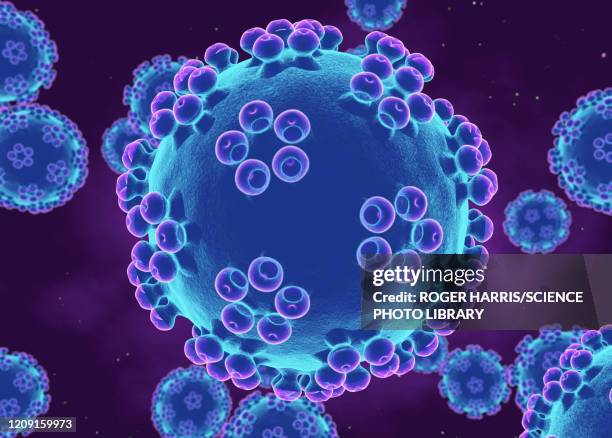 human papillomaviruses, illustration - geschlechtskrankheit stock-grafiken, -clipart, -cartoons und -symbole