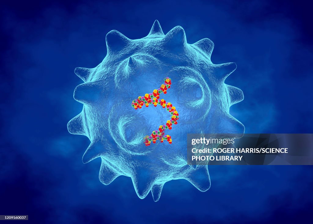 Norovirus, illustration