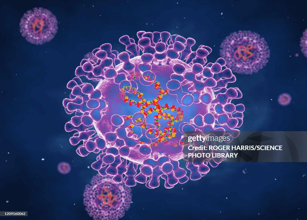 Pox Def Pox Viruses Illustration Ilustración de stock - Getty Images
