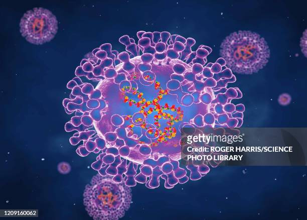 pox viruses, illustration - virus organism stock illustrations
