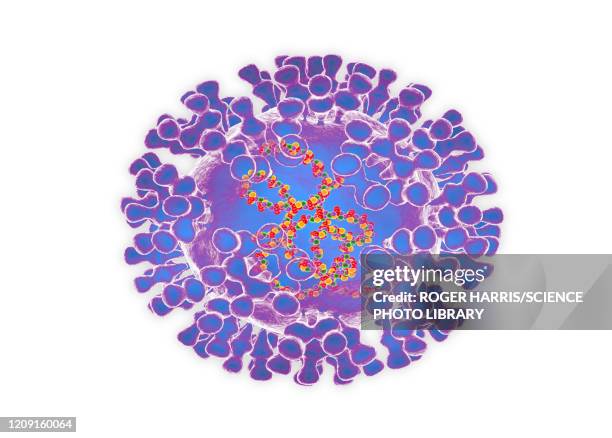 ilustraciones, imágenes clip art, dibujos animados e iconos de stock de pox virus, illustration - smallpox virus