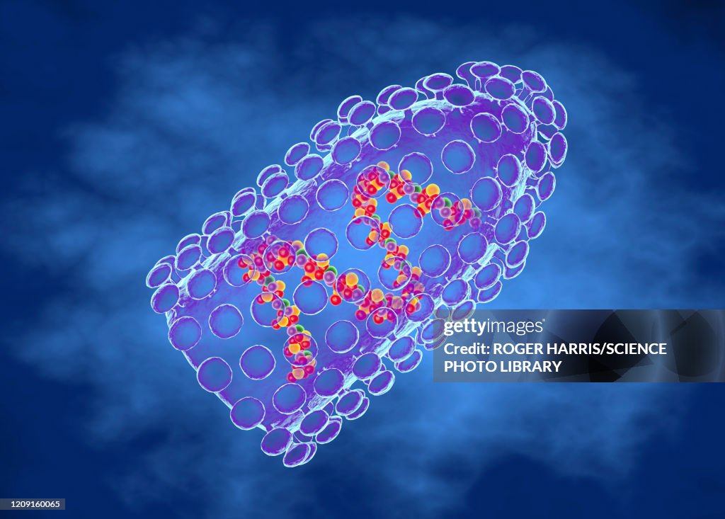 Rabies Virus Illustration High-Res Vector Graphic - Getty Images