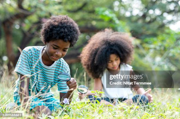 cute adorable afro boy and girl looking at plants grass in park through magnifying glass. children studying learning nature outdoor concept. - magnifying glass nature stock-fotos und bilder
