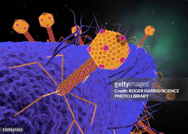 bacteriophages attacking bacteria, illustration - バクテリオファージ点のイラスト素材／クリップアート素材／マンガ素材／アイコン素材