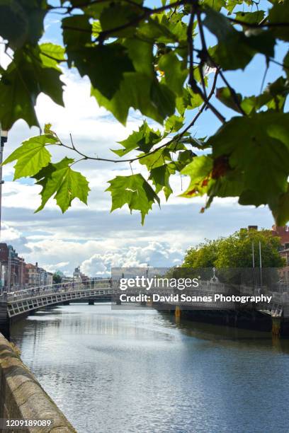 ha'penny bridge, dublin city, ireland - liffey river ireland stock pictures, royalty-free photos & images