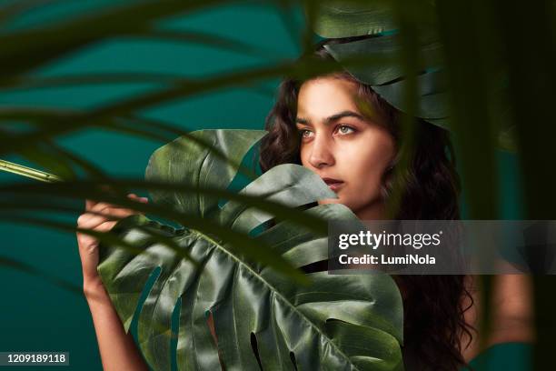 la sua bellezza è tutta naturale - monstera foto e immagini stock
