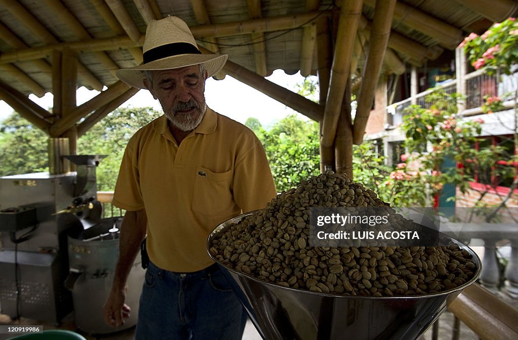 Farmer Rafael Jaramillo puts coffee bean