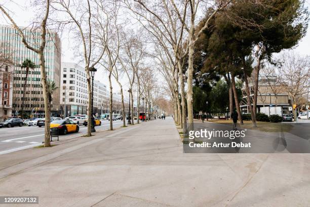 diagonal avenue in barcelona with wide pedestrian zone. - wide stock pictures, royalty-free photos & images