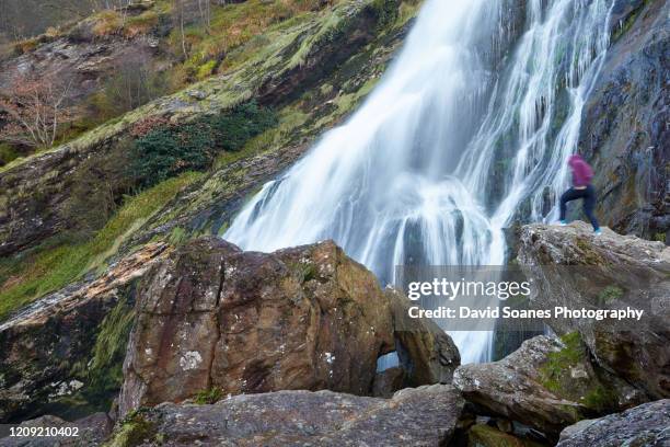 Wiklow Waterfall Enniskerry Co Wicklow Photos and Premium High Res Pictures - Getty Images