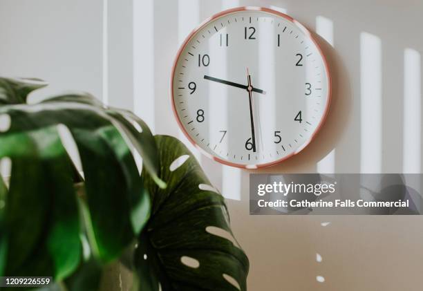 pink clock and plant - wanduhr stock-fotos und bilder