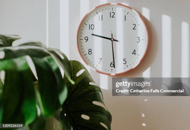 pink clock and plant - clock on wall stock pictures, royalty-free photos & images