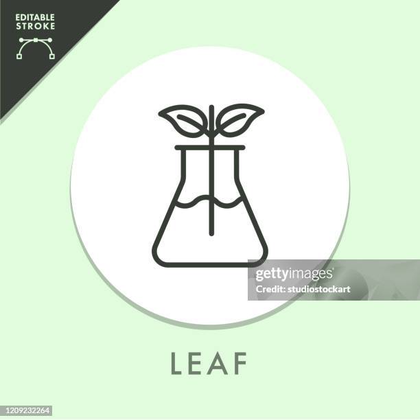 ilustrações de stock, clip art, desenhos animados e ícones de test tube and leaf line icon. editable stroke - proveta