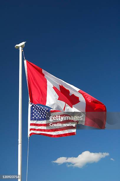 canadian & united states flags - canadian-unity-council stock pictures, royalty-free photos & images