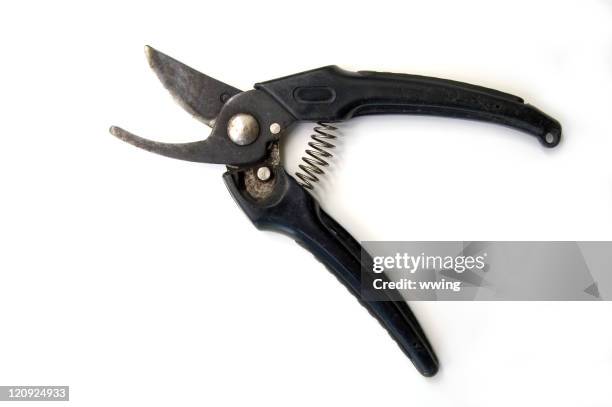 pruning scissors - secators stock pictures, royalty-free photos & images