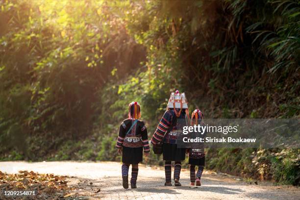 akha woman, mother and child, cleaning red coffee beans on a bunch of arabica coffee - hill tribes stock pictures, royalty-free photos & images