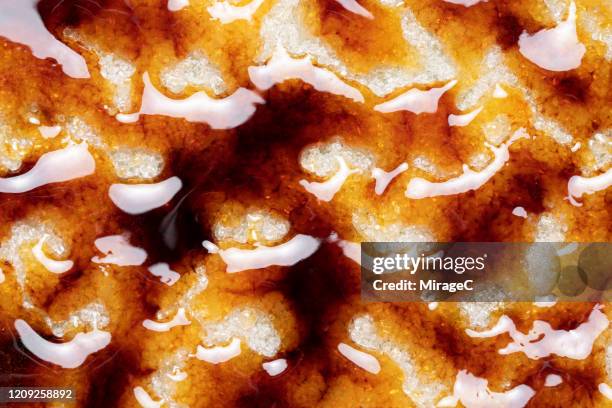 caramelized sugar caramel syrup - caramel stock pictures, royalty-free photos & images