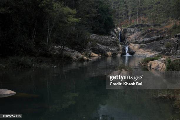 the small water fall in forest - dalat stock pictures, royalty-free photos & images