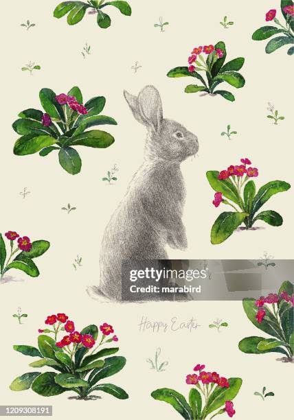 easter rabbit blossom primrose in stipple effect - easter pattern stock illustrations