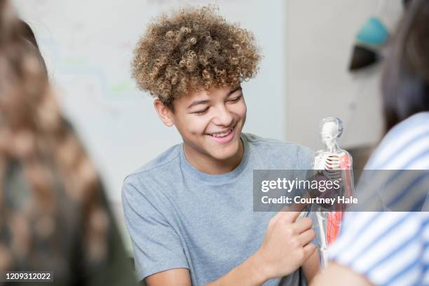 teenage student studies model of human body in anatomy science class - 16 year old male model stock pictures, royalty-free photos & images