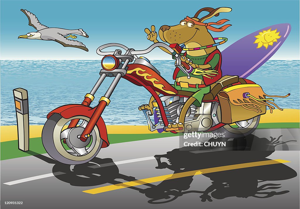 Biker Dog