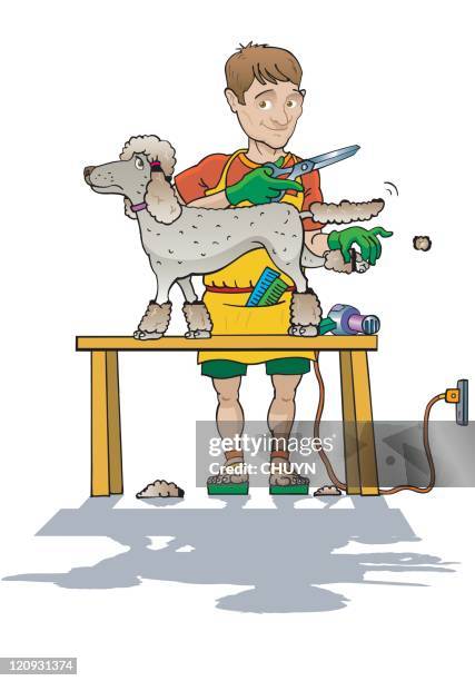 pet grooming - animal brush stock illustrations