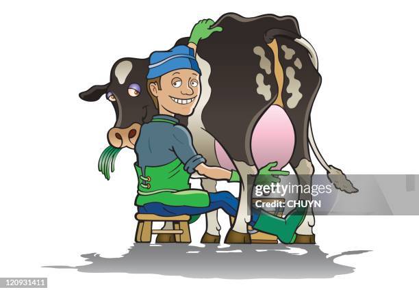 happy dairy farmer - holstein friesian cattle stock illustrations