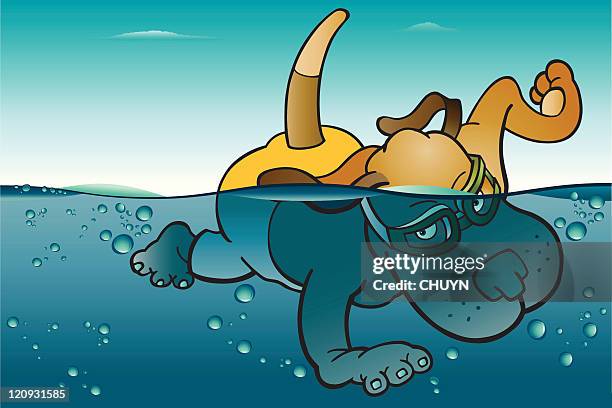 swimming dog - cartoon dog stock illustrations