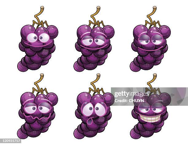 funny grapes - hanging succulent stock illustrations