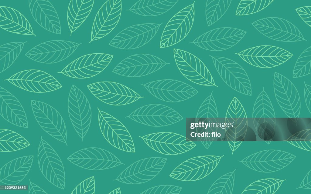 Fjäderlöv sömlösa bakgrundsmönster