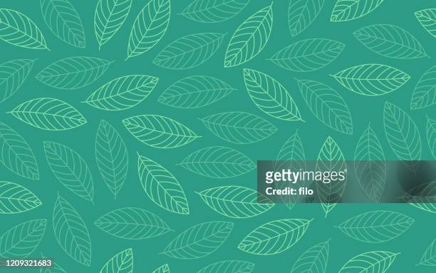 spring leaf seamless background pattern - line art stock illustrations