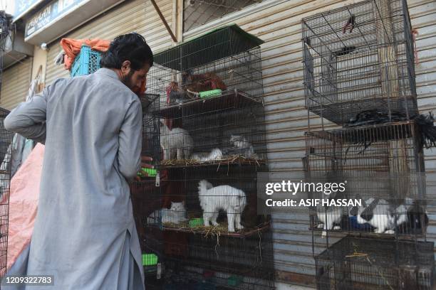 This photo taken on April 1, 2020 shows a vendor moving the cages of animals outside his closed shop during a government-imposed nationwide lockdown...