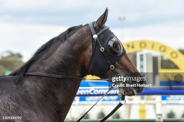 Well Sprung after winning the Hygain BM78 Handicap at Bendigo Racecourse on April 07, 2020 in Bendigo, Australia.