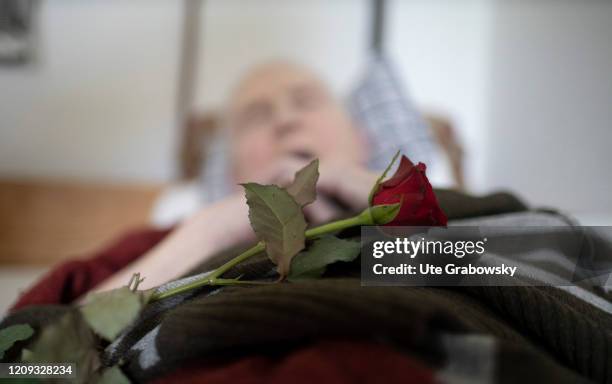 In this photo illustration a rose lies on the hands of a dead woman, HEIDELBERG, GERMANY on February 14, 2020 in Heidelberg, Germany.