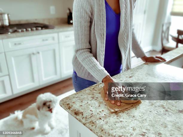woman wipes kitchen counter - straccio da cucina foto e immagini stock