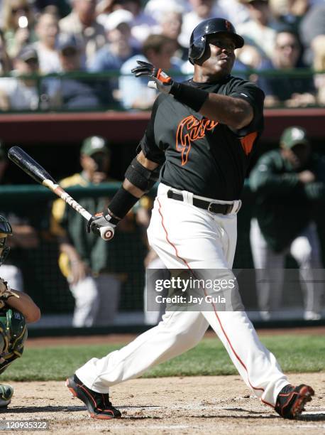 San Francisco Giants Barry Bonds grimaces after swinging and missing in Cactus League action vs the Oakland A's at Scottsdale Stadium in Scottsdale,...