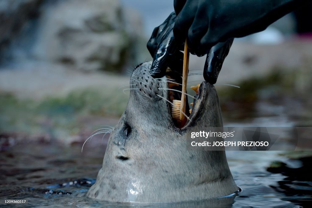 US-HEALTH-VIRUS-AQUARIUM-ANIMALS