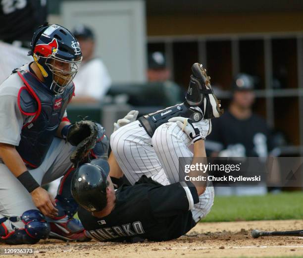 Chicago White Sox' 1st Baseman, Paul Konerko, rolls on the ground after fouling a ball off of his shin during their game against the St. Louis...