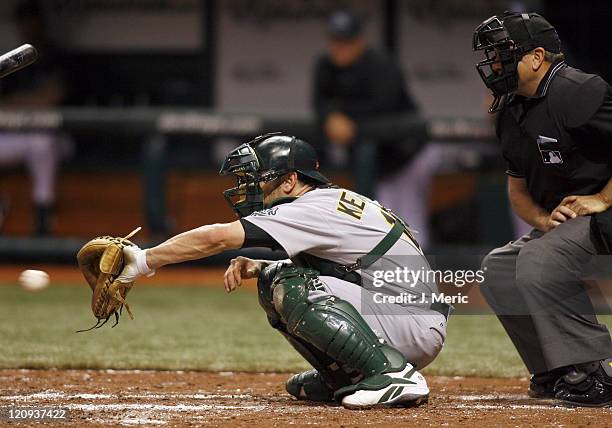 Oakland catcher Jason Kendall prepares to receive a pitch in Friday night's game against Tampa Bay at Tropicana Field in St. Petersburg, Florida on...