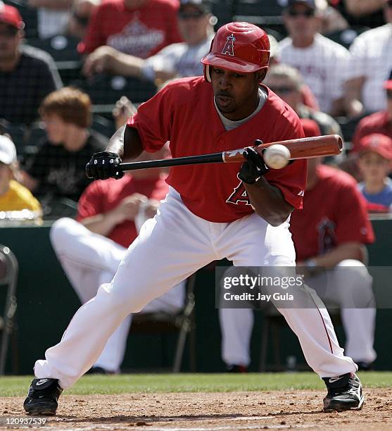 Los Angeles Angels Chone figgins pulls his bat back on an attempted bunt attempt in Cactus League action vs the Seattle Mariners at Tempe Diablo...