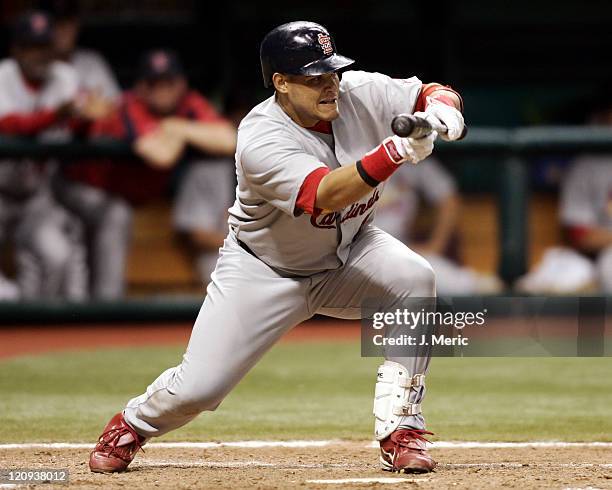 St. Louis Cardinals catcher Yadier Molina looks to bunt for a sacrifice in Friday night's game against the Tampa Bay Devil Rays at Tropicana Field in...